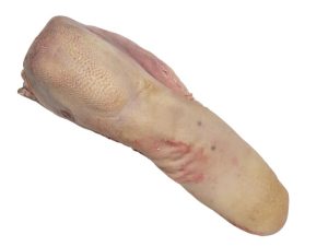 Langue de boeuf fraiche