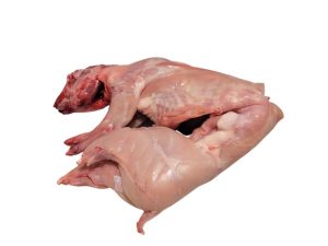 Lapin entier