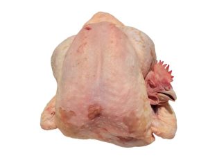 Poule au sol environ 3kg 00 prête à cuire